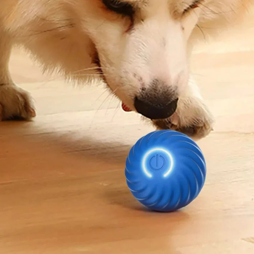 Smart Interactive Bouncing Ball – USB-Powered, Automatic Fun for Pets